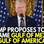 Trump’s Gulf Fascination